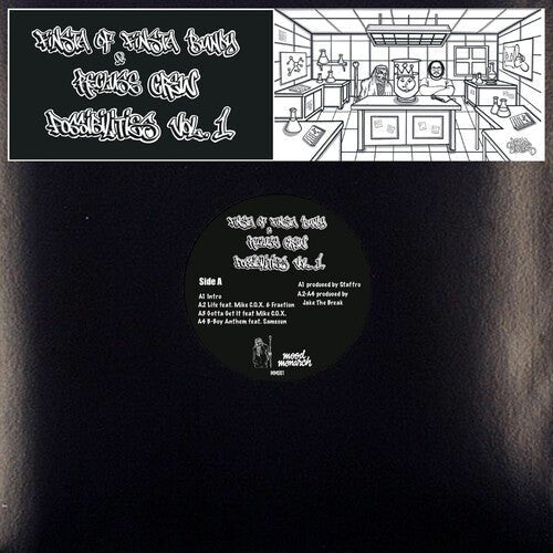 FINSTA & RECLUSE CREW - POSSIBILITIES VOL.1 - RECORD