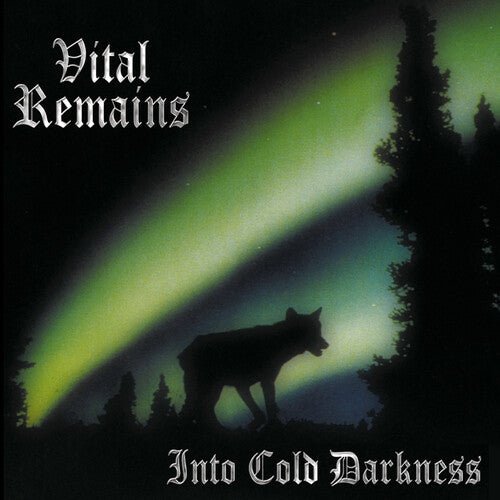 VITAL REMAINS - INTO COLD DARKNESS - RECORD
