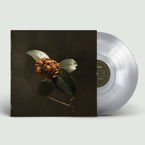 ST. PAUL & THE BROKEN BONES - YOUNG SICK CAMELLIA - RECORD