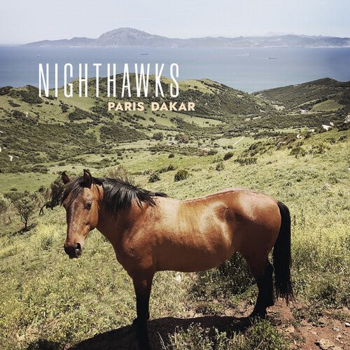 NIGHTHAWKS - PARIS DAKAR - RECORD