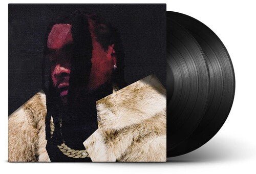 WALE - EVERYTHING IS A LOT. - RECORD