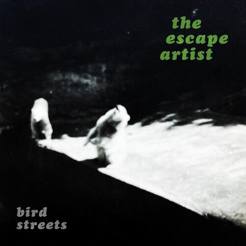 BIRD STREETS - ESCAPE ARTIST - SILVER - RECORD