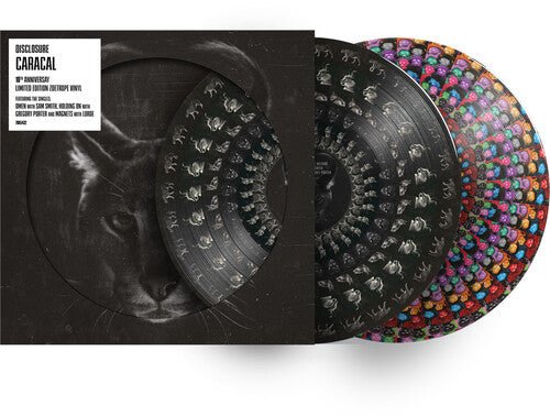 DISCLOSURE - CARACA - RECORD