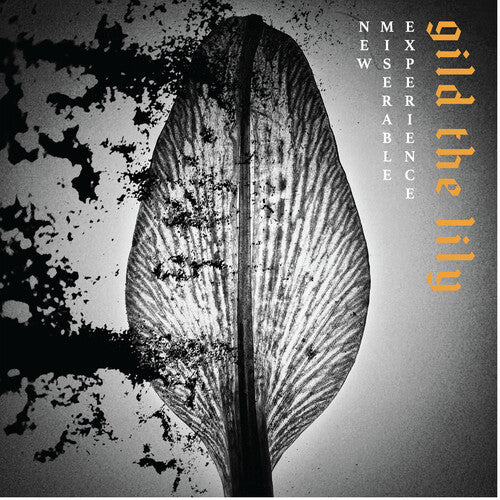 NEW MISERABLE EXPERIENCE - GILD THE LILY - RECORD
