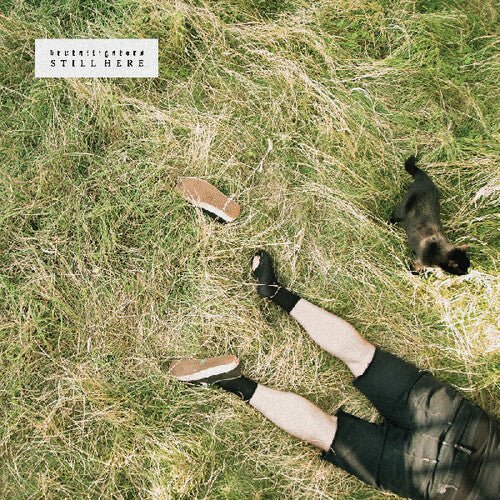 BRUTALLIGATORS - STILL HERE (IEX) - RECORD