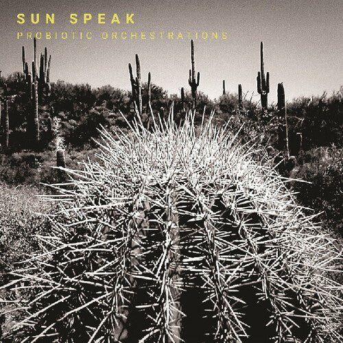 SUN SPEAK - PROBIOTIC ORCHESTRATIONS - RECORD