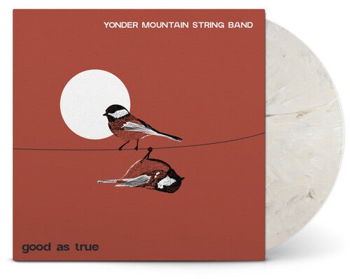 YONDER MOUNTAIN STRING BAND - GOOD AS TRUE - RECORD