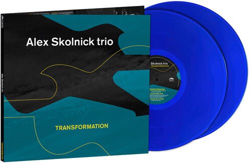 SKOLNICK,ALEX TRIO - TRANSFORMATION - RECORD