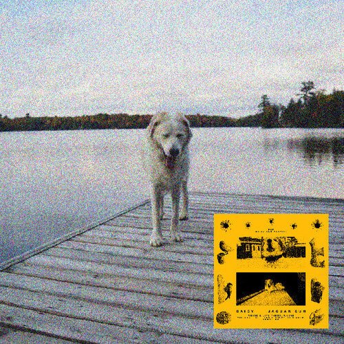 JAGUAR SUN - DAISY - RECORD