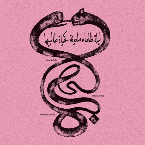 MOUMNEH,RADWAN GHAZI / OBERLAND,FEDERIC D. - ETERNAL LIFE NO END - RECORD