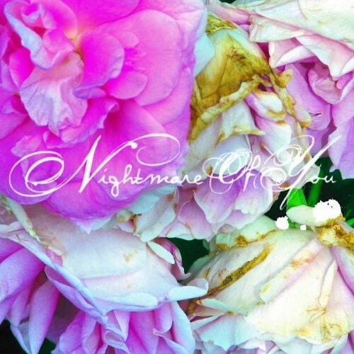 NIGHTMARE OF YOU - RECORD