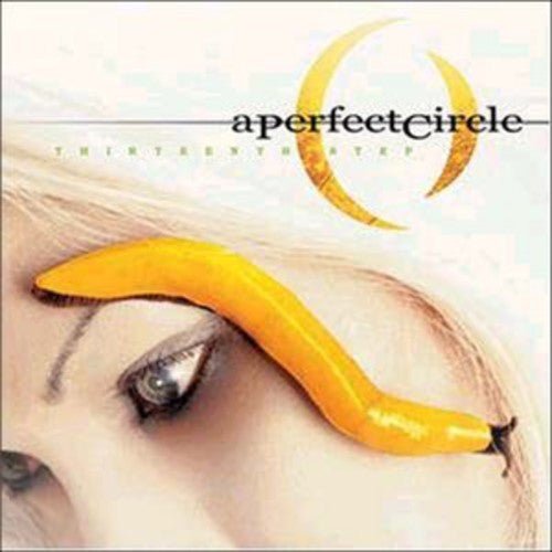 PERFECT CIRCLE - THIRTEENTH STEP - RECORD