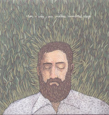 IRON & WINE - OUR ENDLESS NUMBERED DAYS - RECORD
