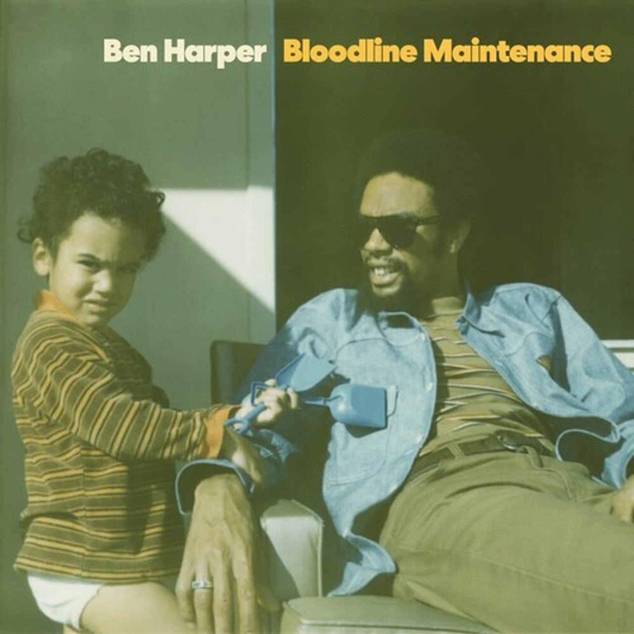 HARPER,BEN - BLOODLINE MAINTENANCE - RECORD