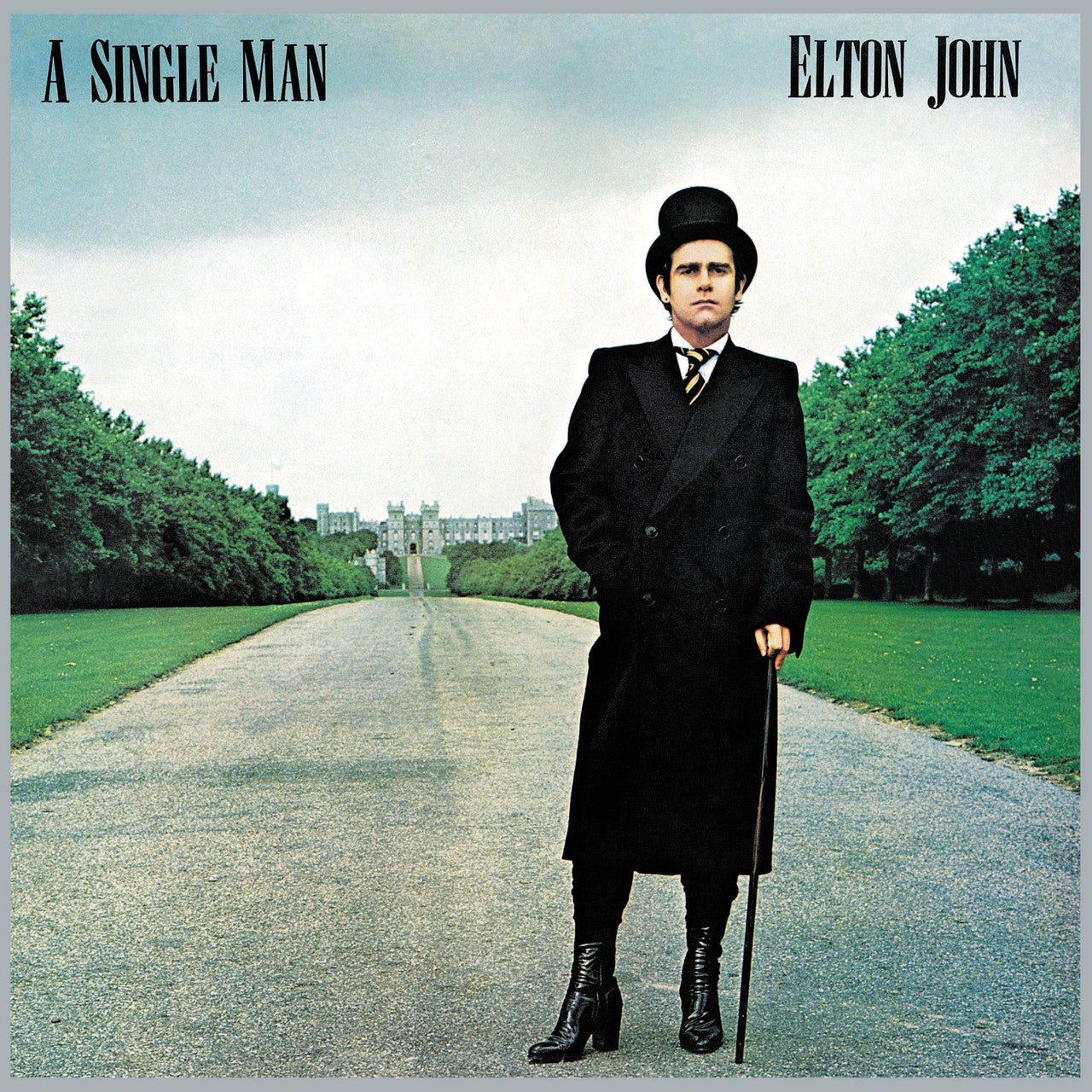 JOHN,ELTON - SINGLE MAN - RECORD