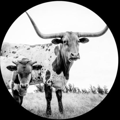 Mike Flanigin - West Texas Blues Longhorn Picture Disc w/ Postcard - RECORD