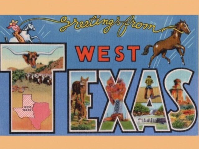 Mike Flanigin - West Texas Blues Longhorn Picture Disc w/ Postcard - RECORD
