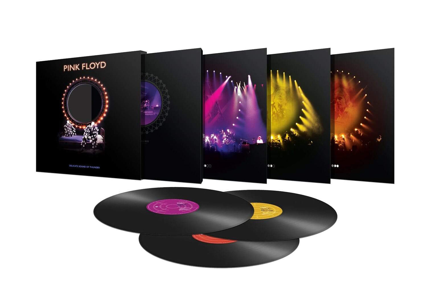 PINK FLOYD - DELICATE SOUND OF THUNDER - RECORD