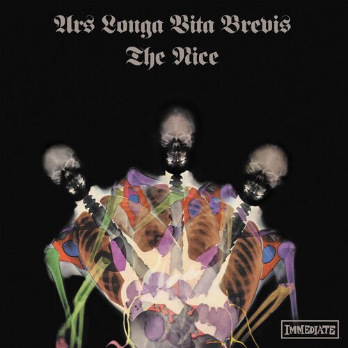 NICE - ARS LONGA VITA BREVIS - X-RAY MARBLED - RECORD