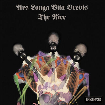 NICE - ARS LONGA VITA BREVIS - X-RAY MARBLED - RECORD