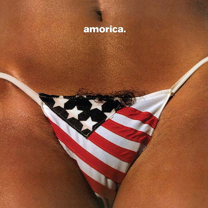 BLACK CROWES - AMORICA - RECORD