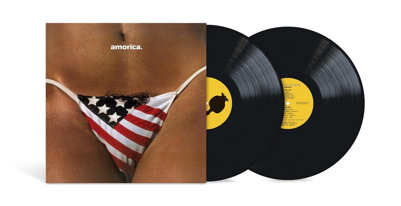 BLACK CROWES - AMORICA - RECORD