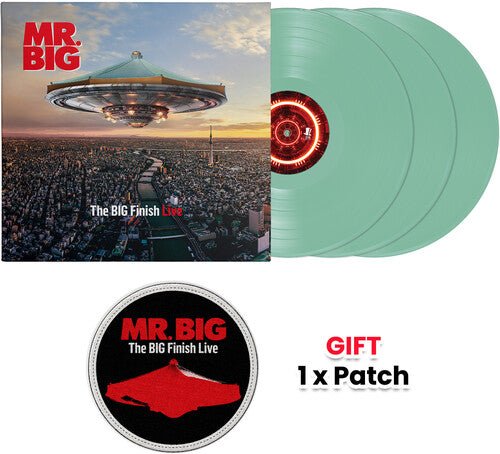 MR BIG - BIG FINISH LIVE - RECORD