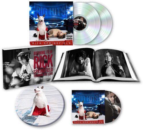 SPRINGFIELD,RICK - BIG HITS: RICK SPRINGFIELD'S GREATEST HITS VOL. 2 - RECORD