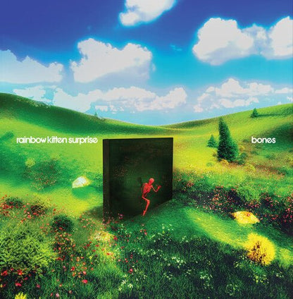 RAINBOW KITTEN SURPRISE - BONES - RECORD