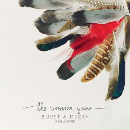 WONDER YEARS - BURST & DECAY VOL. 3 - WHITE - RECORD