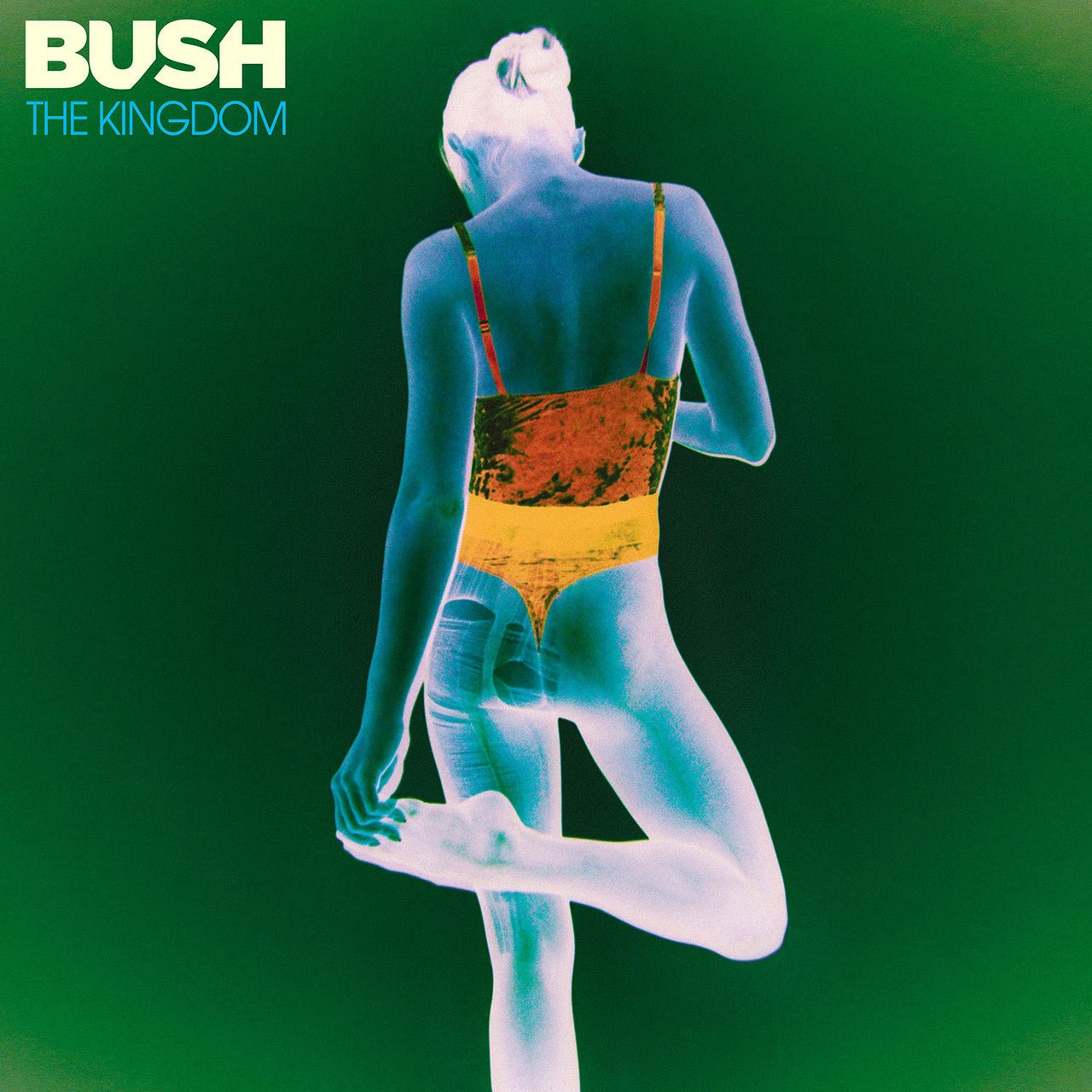 BUSH - KINGDOM - RECORD