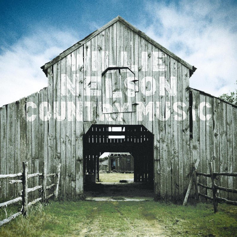 NELSON,WILLIE - COUNTRY MUSIC - RECORD