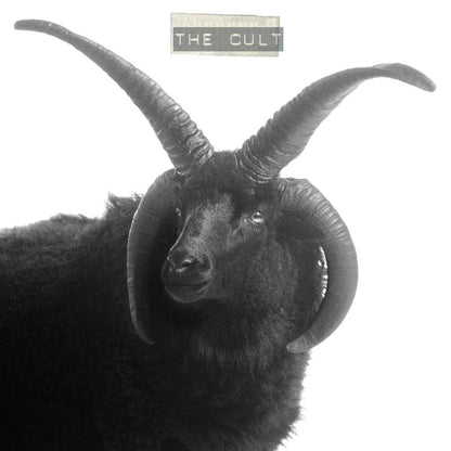 CULT - RECORD