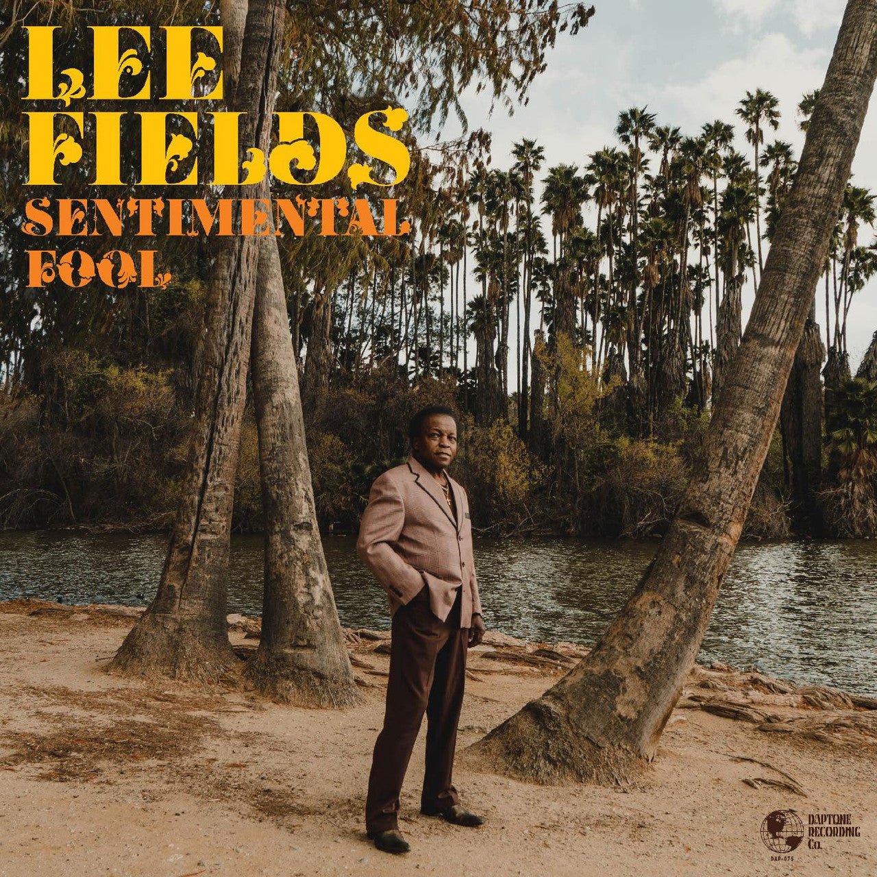 FIELDS,LEE - SENTIMENTAL FOOL - RECORD