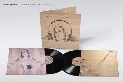 SYLVIAN,DAVID - DIED IN THE WOOL (MANAFON VARIATIONS) - RECORD