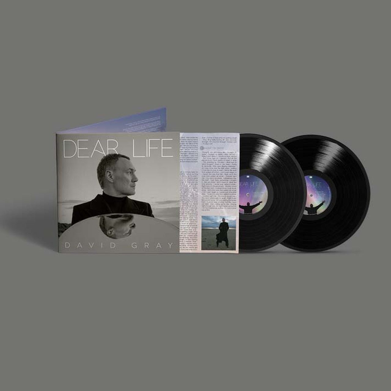GRAY,DAVID - DEAR LIFE - RECORD