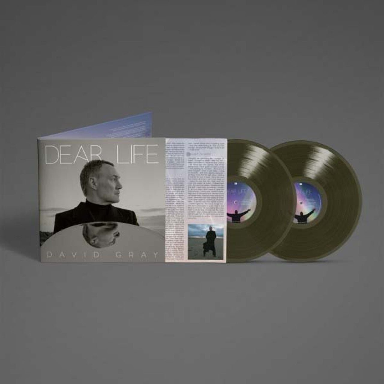 GRAY,DAVID - DEAR LIFE - SEAWEED GREEN - RECORD