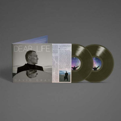 GRAY,DAVID - DEAR LIFE - SEAWEED GREEN - RECORD