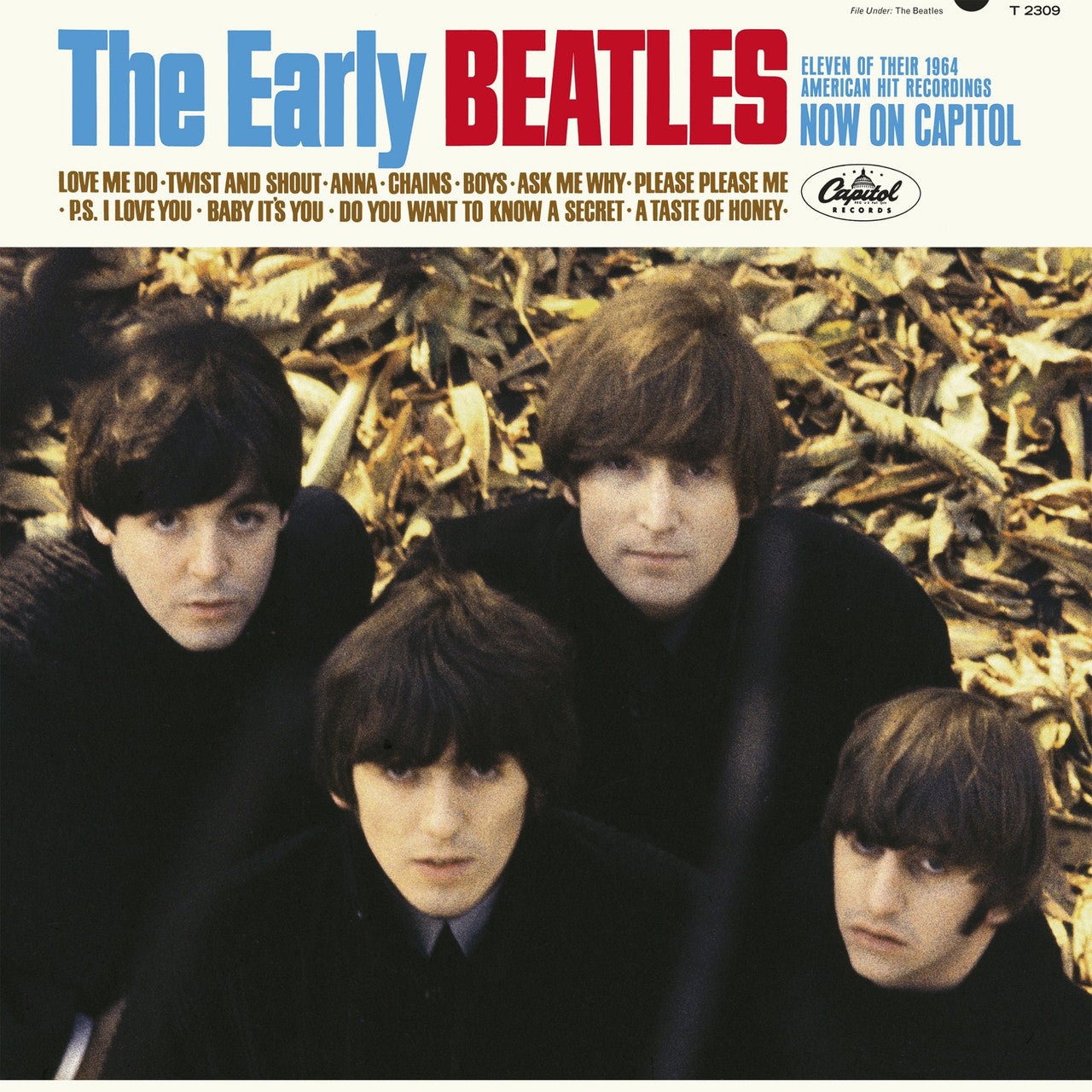 BEATLES - EARLY BEATLES - RECORD