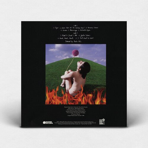 COLE,PAULA - THIS FIRE - RECORD