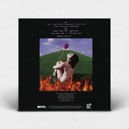 COLE,PAULA - THIS FIRE - RECORD