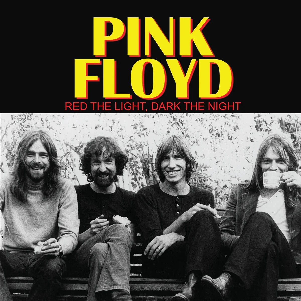 PINK FLOYD - RED THE LIGHT, DARK THE NIGHT - RECORD
