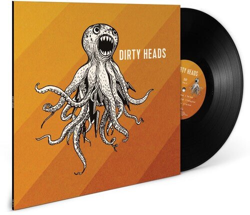 DIRTY HEADS - RECORD
