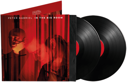 GABRIEL,PETER - IN THE BIG ROOM - RECORD