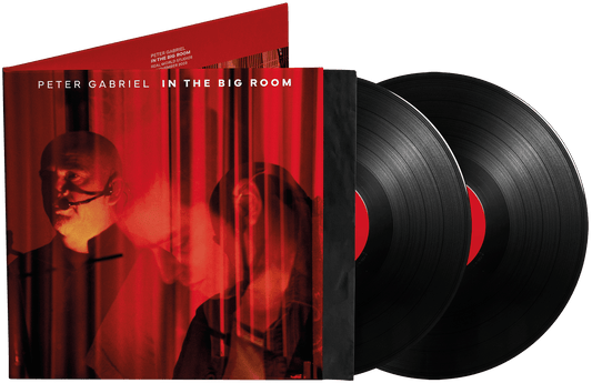GABRIEL,PETER - IN THE BIG ROOM - RECORD