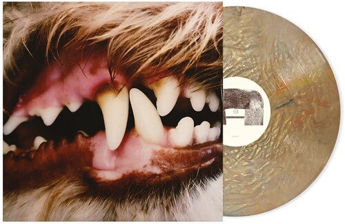 LUCIUS - RECORD