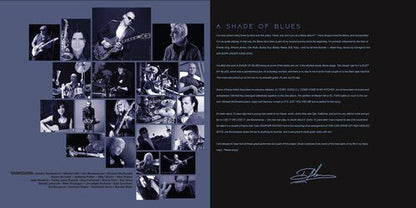 MASON,DAVE - SHADE OF BLUES - BLUE - RECORD