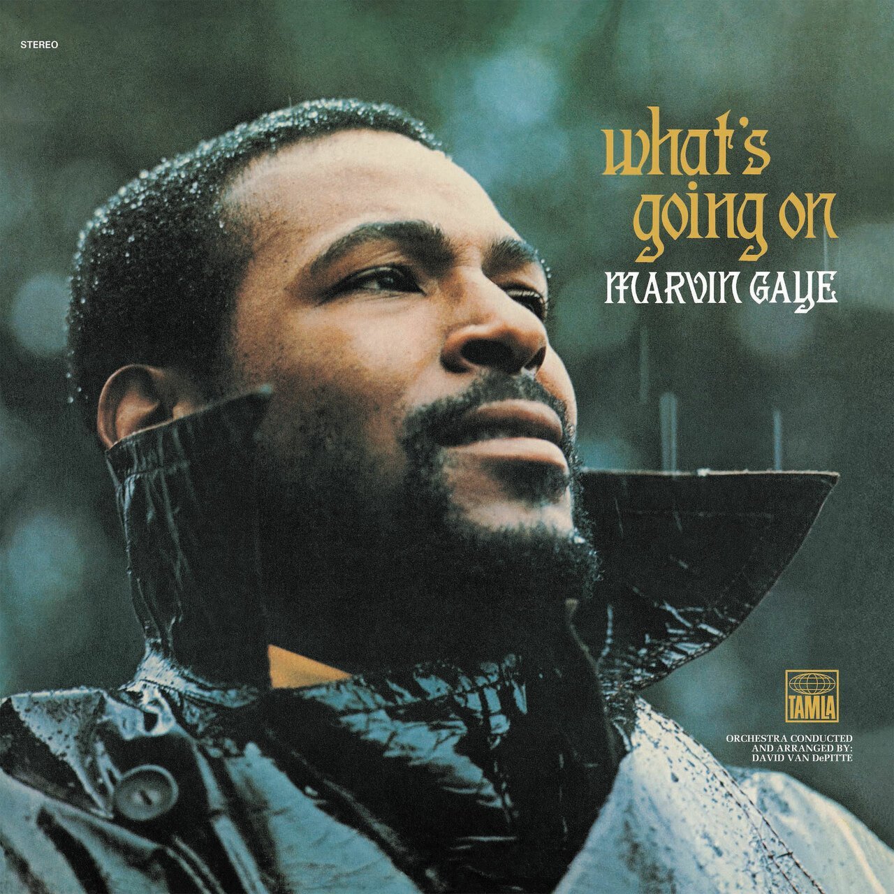 GAYE,MARVIN - WHAT'S GOING ON (50TH ANNIVERSARY) - RECORD