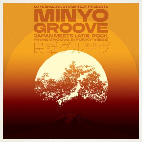 MINYO GROOVE 1963-1979 / VARIOUS - RECORD