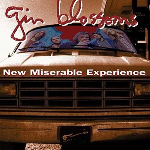 GIN BLOSSOMS - NEW MISERABLE EXPERIENCE RED/RUST MARBLE - RECORD